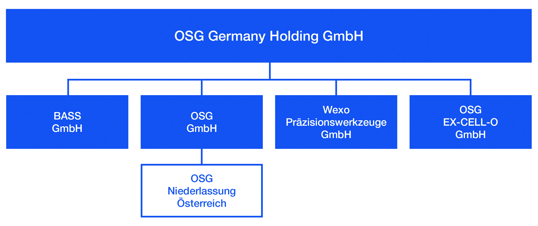 Neue Struktur für deutsche OSG-Gruppe